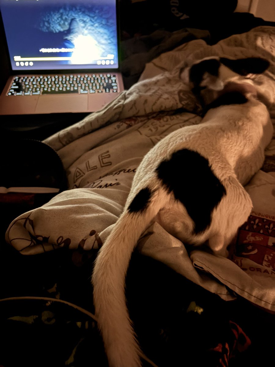 culwisp's tweet image. Literally my bestie