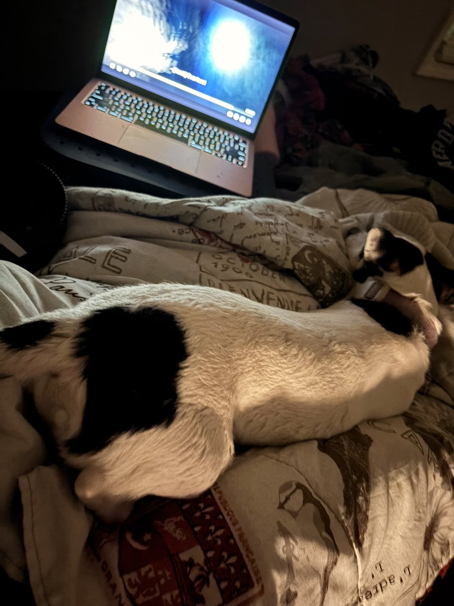 culwisp's tweet image. Literally my bestie