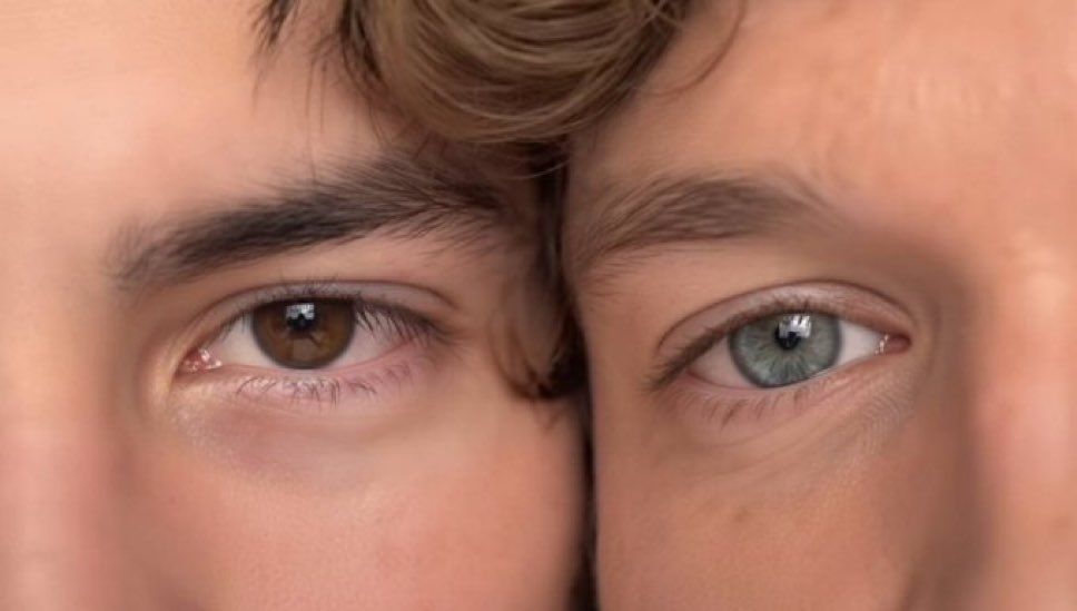 Hwasicles's tweet image. This looks like a painting