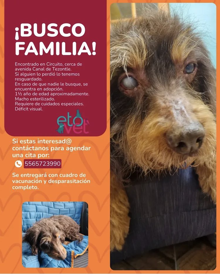 Gina Romero tweet media