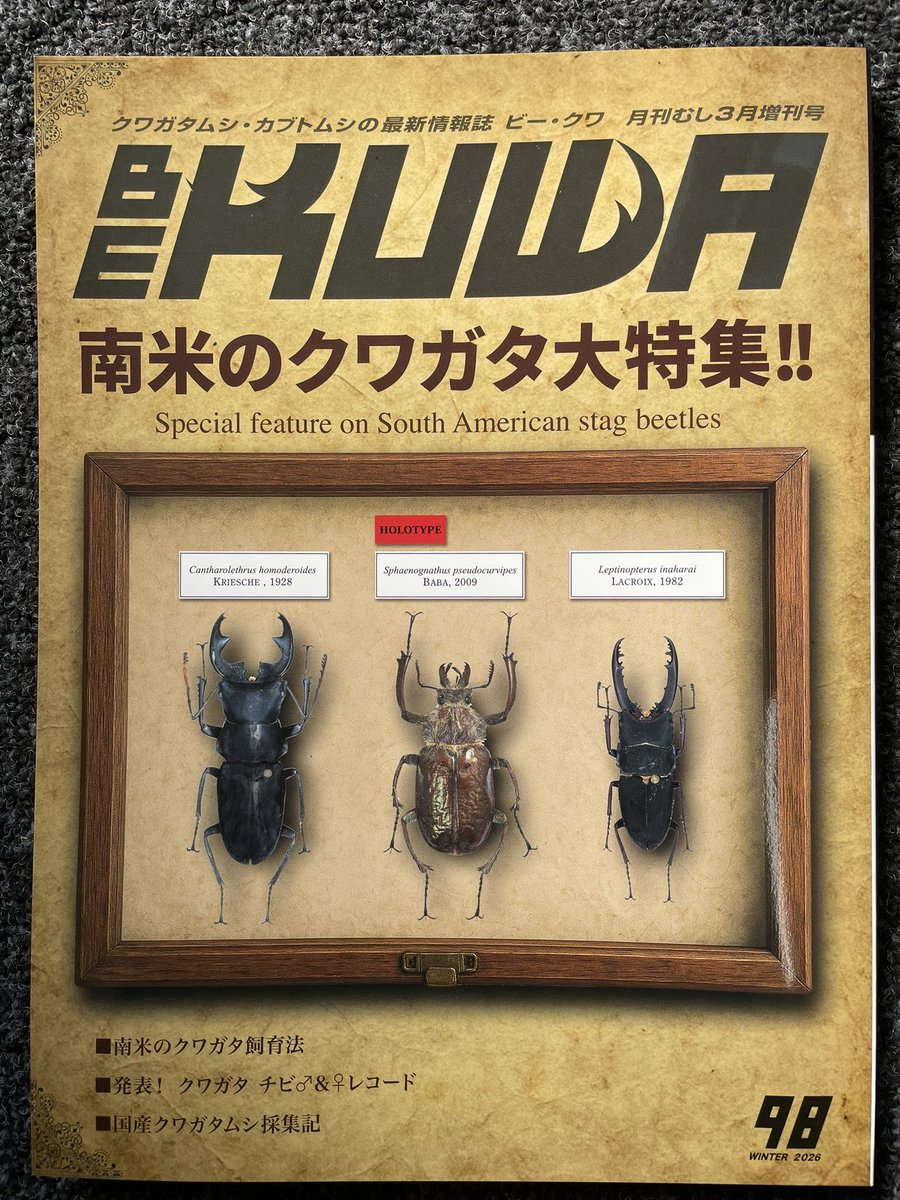 BEKUWA 98号 入荷しました 南米のクワガタ特集です。 ヨーロッパミヤマ