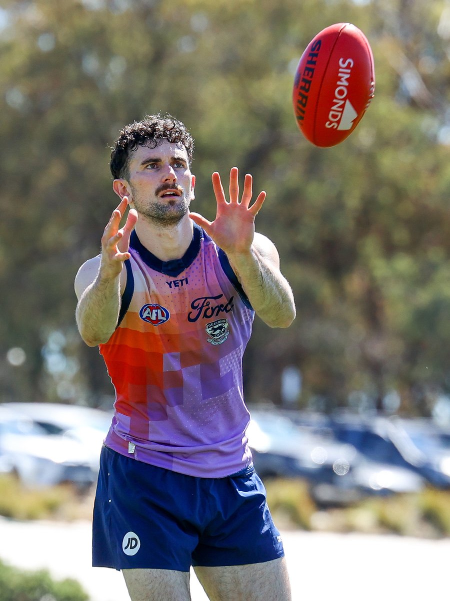 Geelong Cats tweet media
