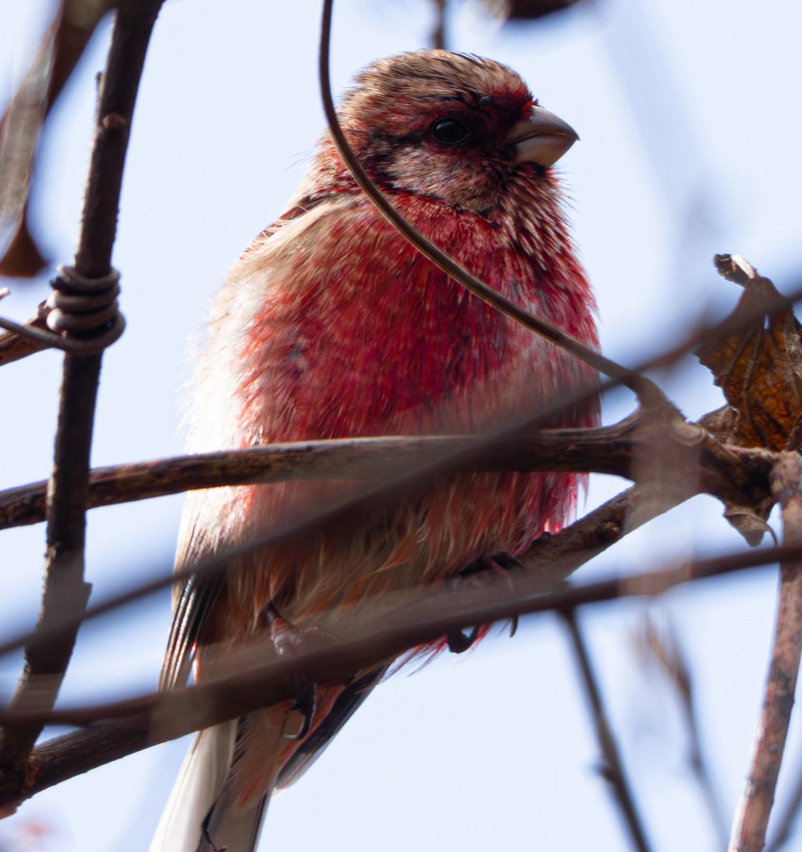 unitarou@ tweet media