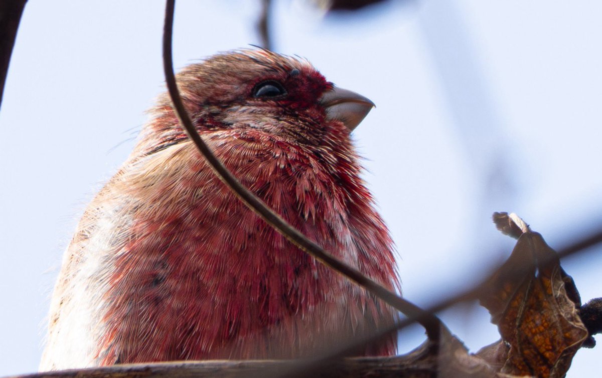 unitarou@ tweet media