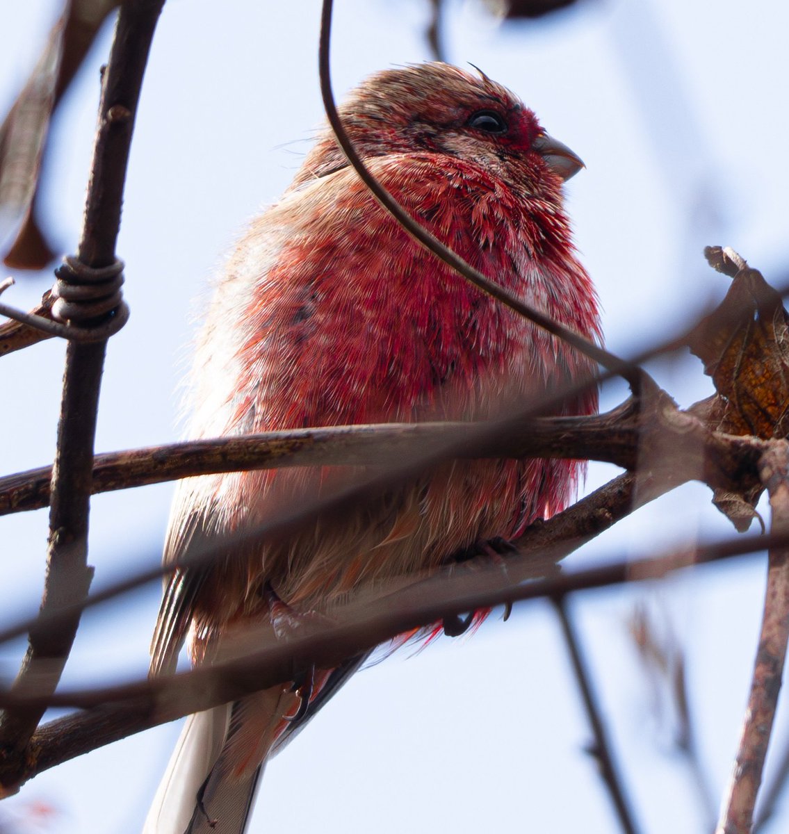 unitarou@ tweet media