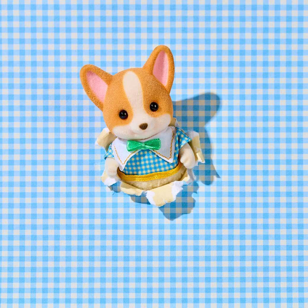 コーギー ファミリーをよろしくね🎵予約開始をお楽しみに！