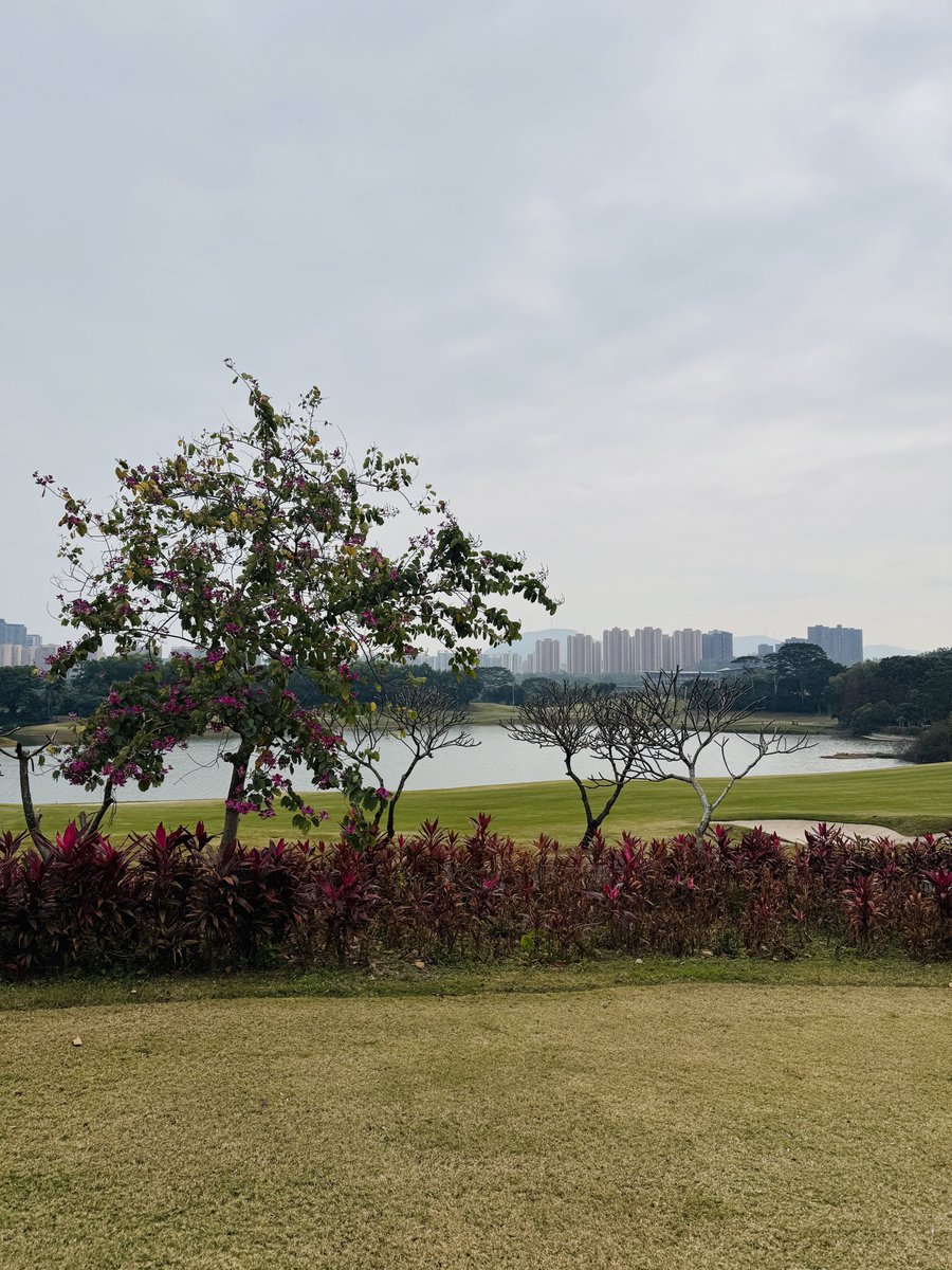 SechandsRapper's tweet photo. 小朱也是过上周四下午打高尔夫🏌️‍♂️的好日子了 https://t.co/SsAIKfHoVN
