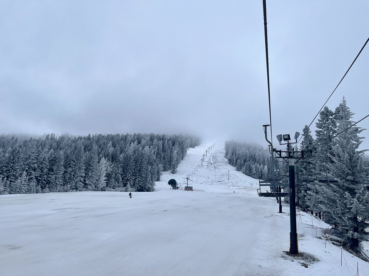 Don Pawluk tweet media