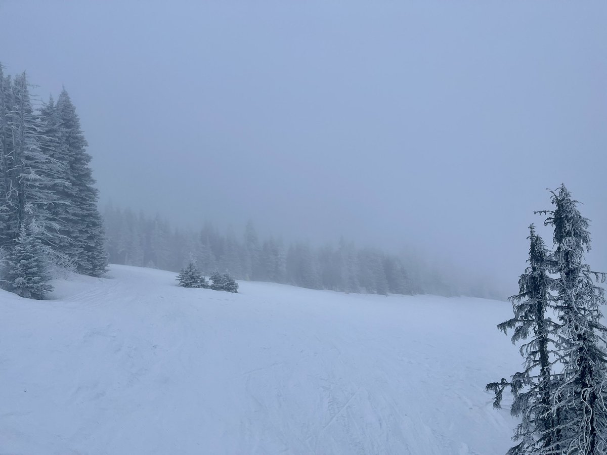 Don Pawluk tweet media