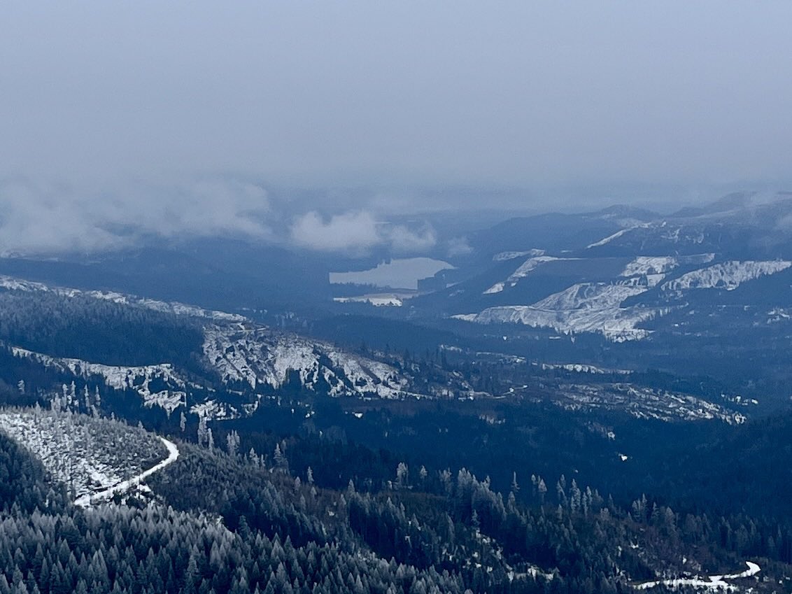 Don Pawluk tweet media