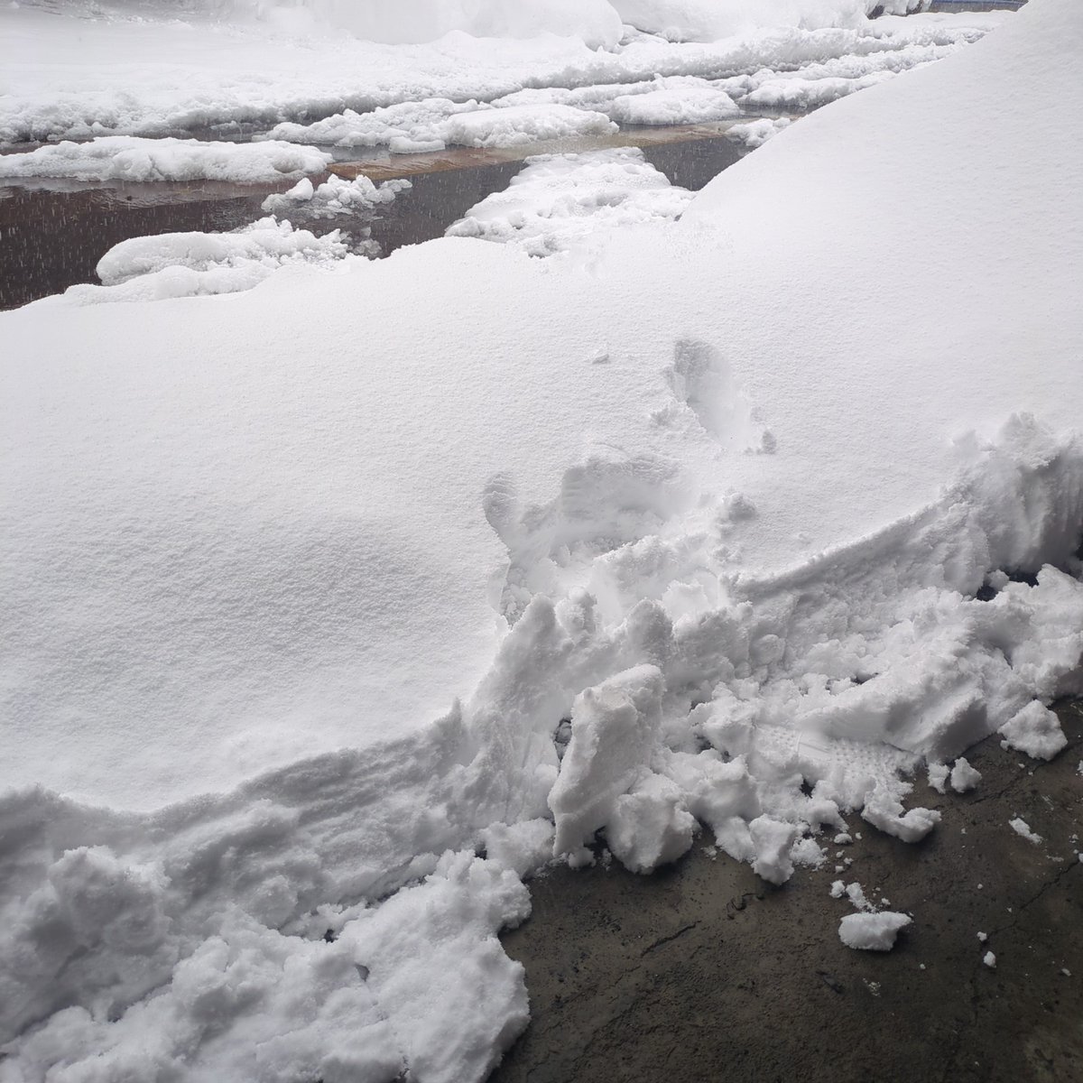 usa__gin's tweet image. 除雪ジョースター