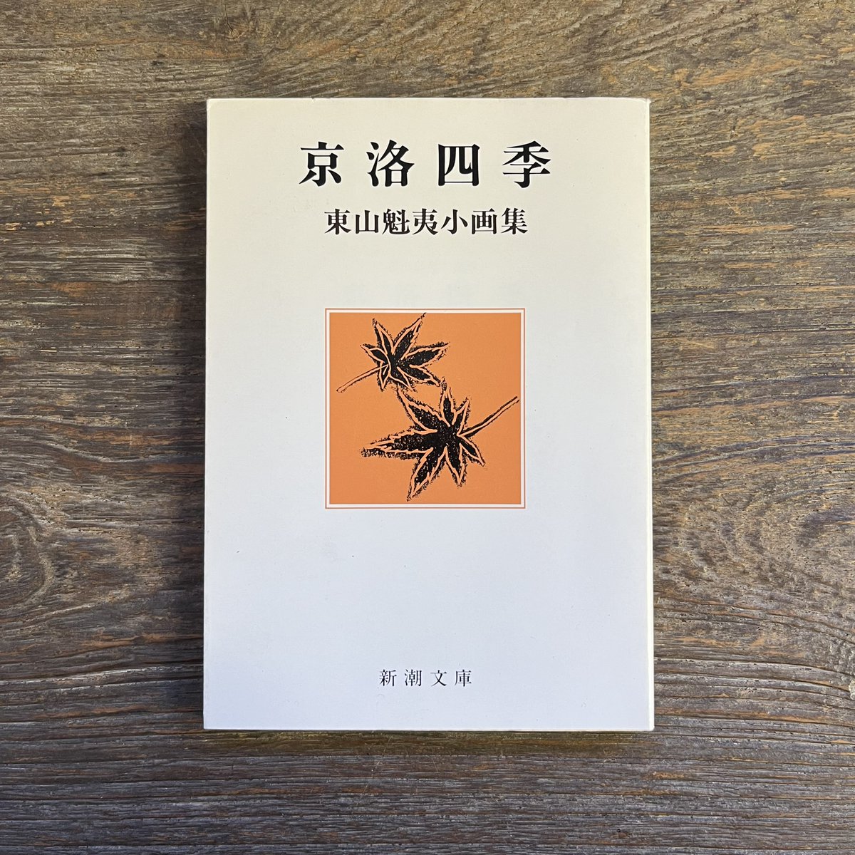 松陰神社前商店街の 古本のSoleil et Lune（ソレイユ・エ・リュンヌ