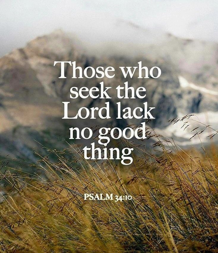 The__Bible7's tweet image. Psalm 34:10