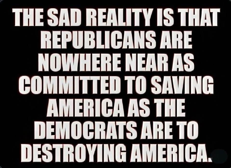 DeborahHarwood5's tweet image. 