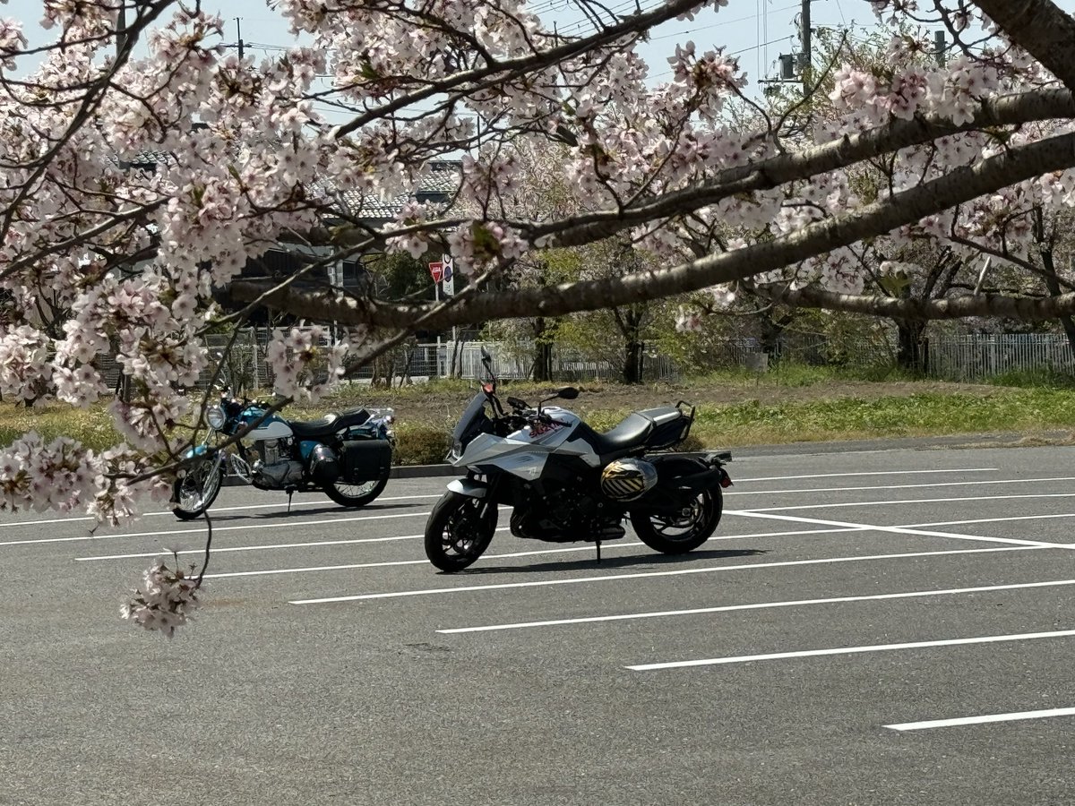 #春が恋しいのでお花と愛車の画像を無言で貼ってね見た人もやってねお願い