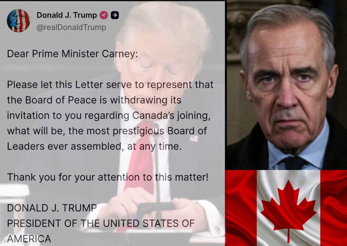 The Pleb 🌍 Reporter tweet media