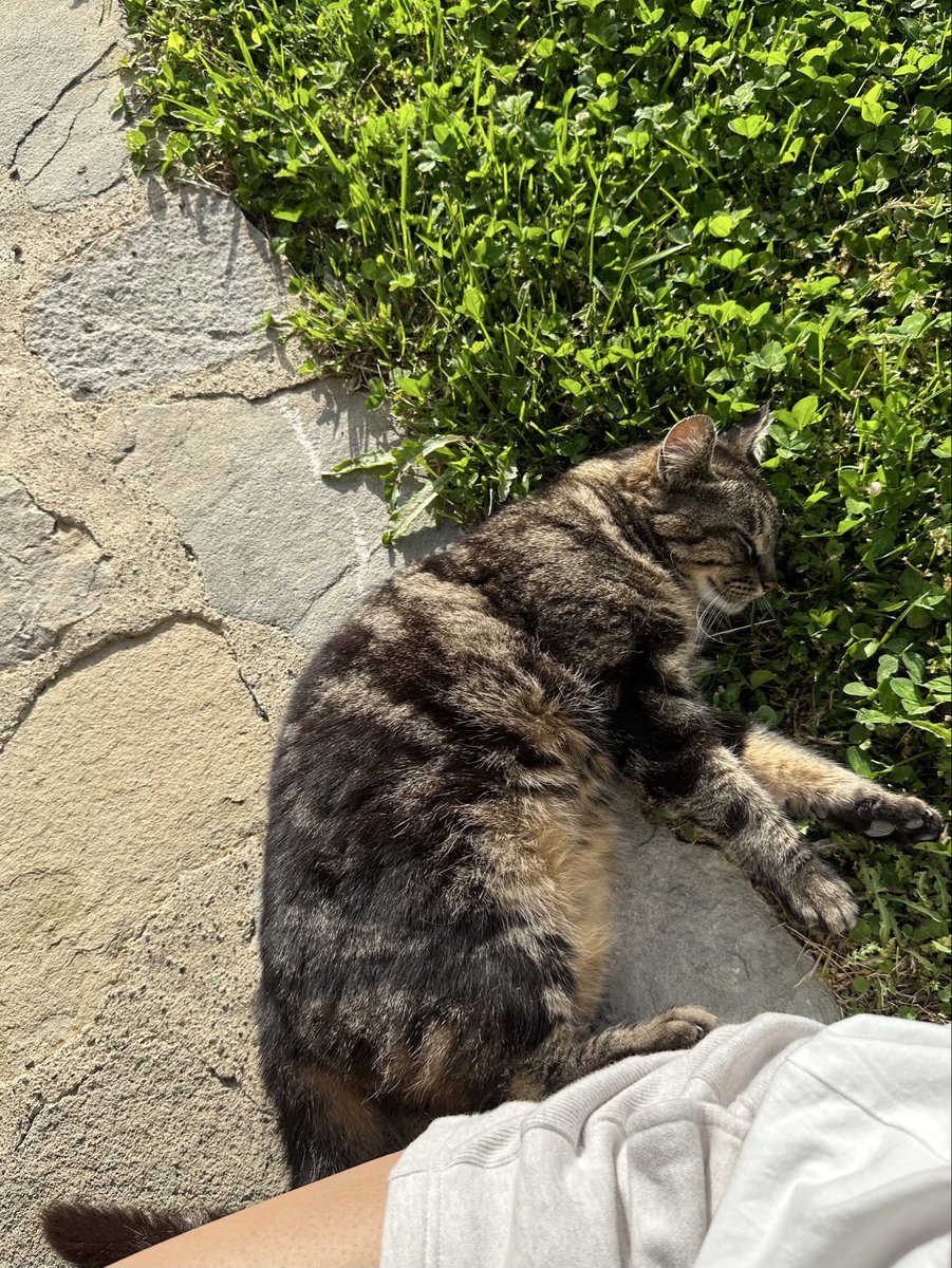 evvdlx's tweet image. 피렌체 가실때 꼭 렌트카 빌려서 토스카나까지 다녀오시길!!
소도시들도 너무 아기자기 매력있고 창 밖으로 보이는 발도르차 평원이 말로 표현이 안됨
와인으로 유명한 지역이라 와이너리 리조트에서 묵는 것도 너무 추천 문만 열면 펼쳐지는 포도밭에서 하루종일 고양이랑 놀다옴 ♡♡