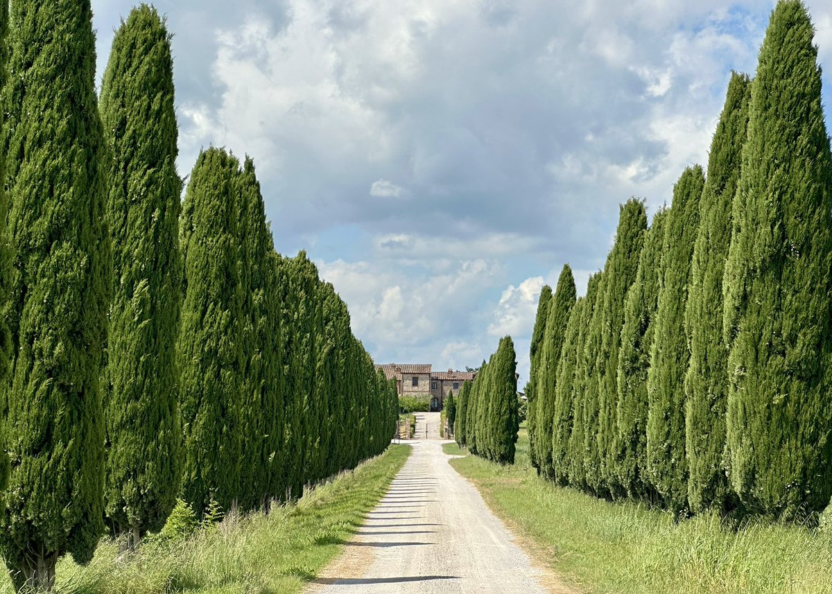 evvdlx's tweet image. 피렌체 가실때 꼭 렌트카 빌려서 토스카나까지 다녀오시길!!
소도시들도 너무 아기자기 매력있고 창 밖으로 보이는 발도르차 평원이 말로 표현이 안됨
와인으로 유명한 지역이라 와이너리 리조트에서 묵는 것도 너무 추천 문만 열면 펼쳐지는 포도밭에서 하루종일 고양이랑 놀다옴 ♡♡