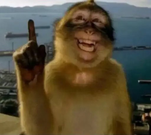 http_Lui's tweet image. VEM AÍ MEUS AMORES