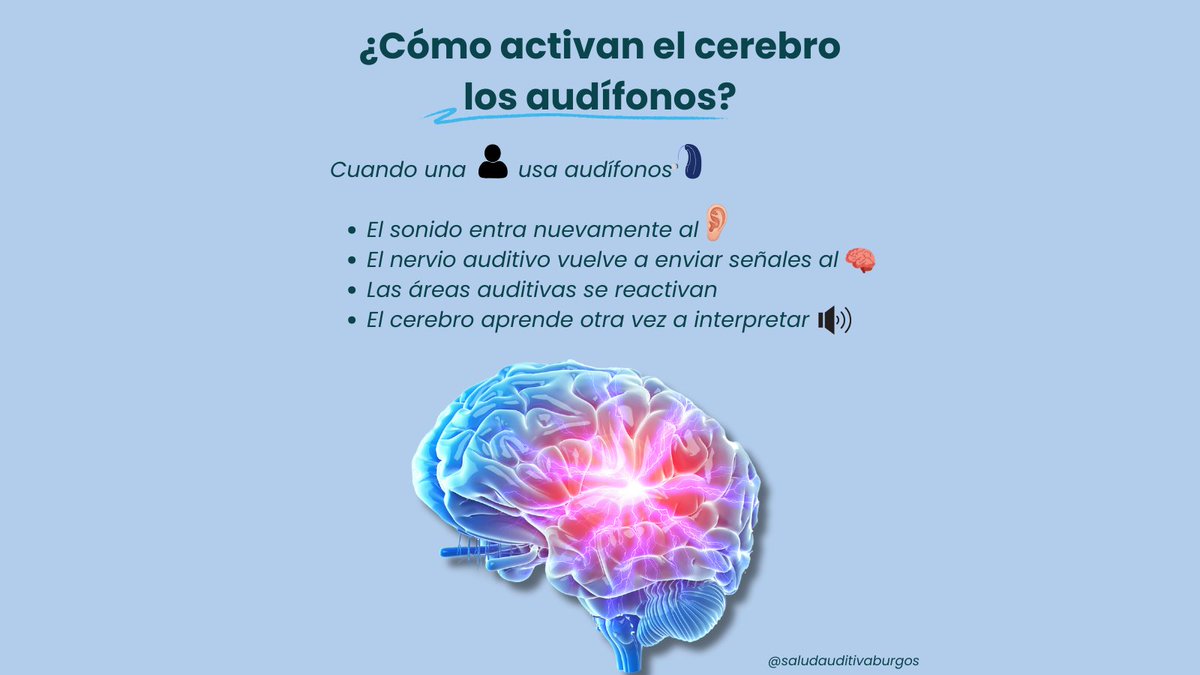 🧠🦻 ¿Cómo activan el🧠los audífonos?
Los audífonos no curan la sordera, amplifican y adaptan el sonido para que el cerebro pueda volver a percibirlo. Usando audífonos el nervio auditivo vuelve a enviar señales al cerebro y las áreas auditivas se reactivan saludauditivaburgos.com