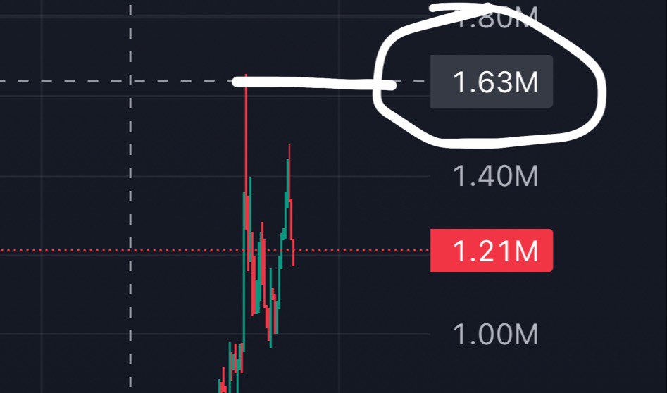 I gave you a 9x in less than 15 hours

I find coins that no one else is even thinking about

I search for deep value and I create trends 

$bloxx was a no brainer and everyone with notifications turned on for my X and my TG group just won massively again