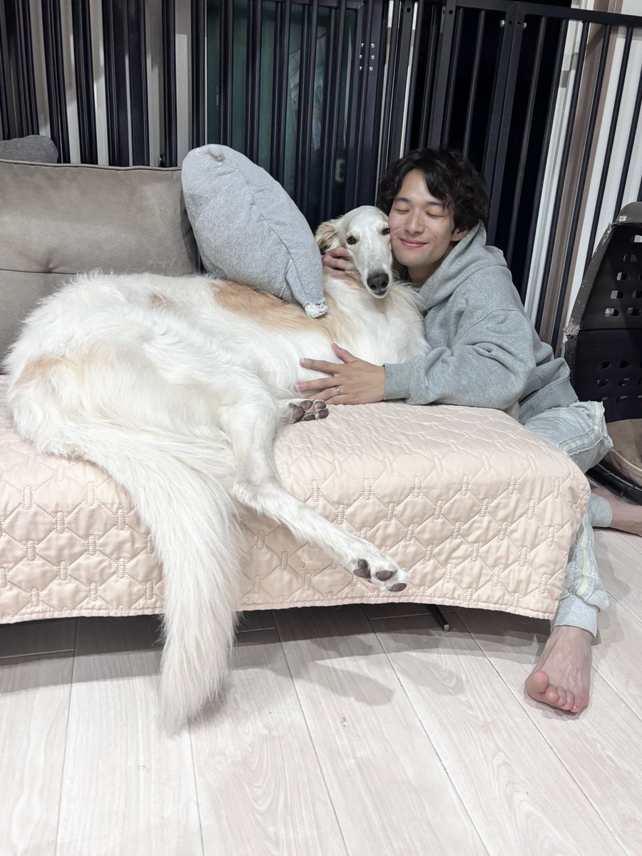 ベル🐶ラム ボルゾイ (@velzoi) / Posts / X