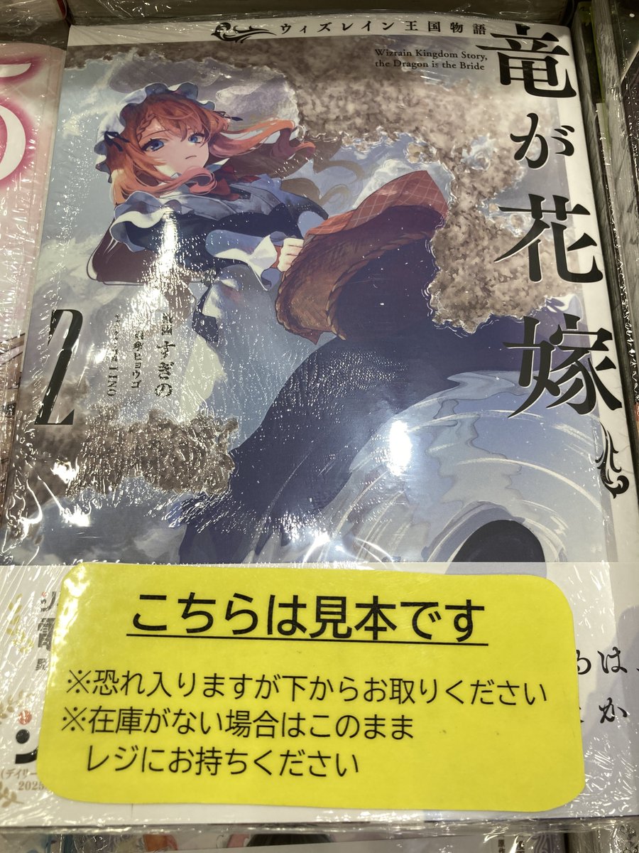 特典 初版 ウィズレイン王国物語 竜が花嫁 すぎの 特典 2点 アニメイト