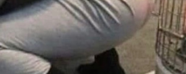 threads99's tweet image. وضعك في البرد :