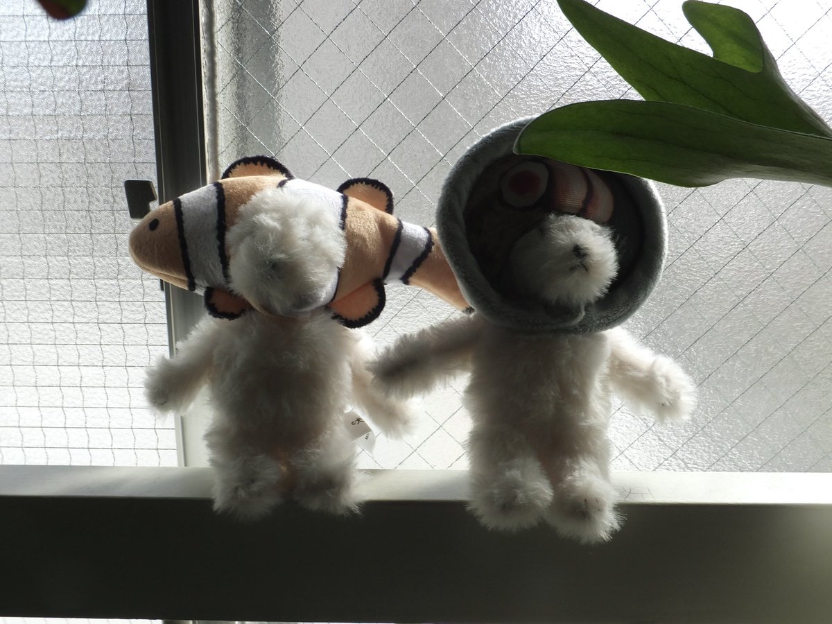 watan09091027's tweet photo. 犬記録さんとこの犬たち、おうち到着。 https://t.co/Qv4P5O55DO