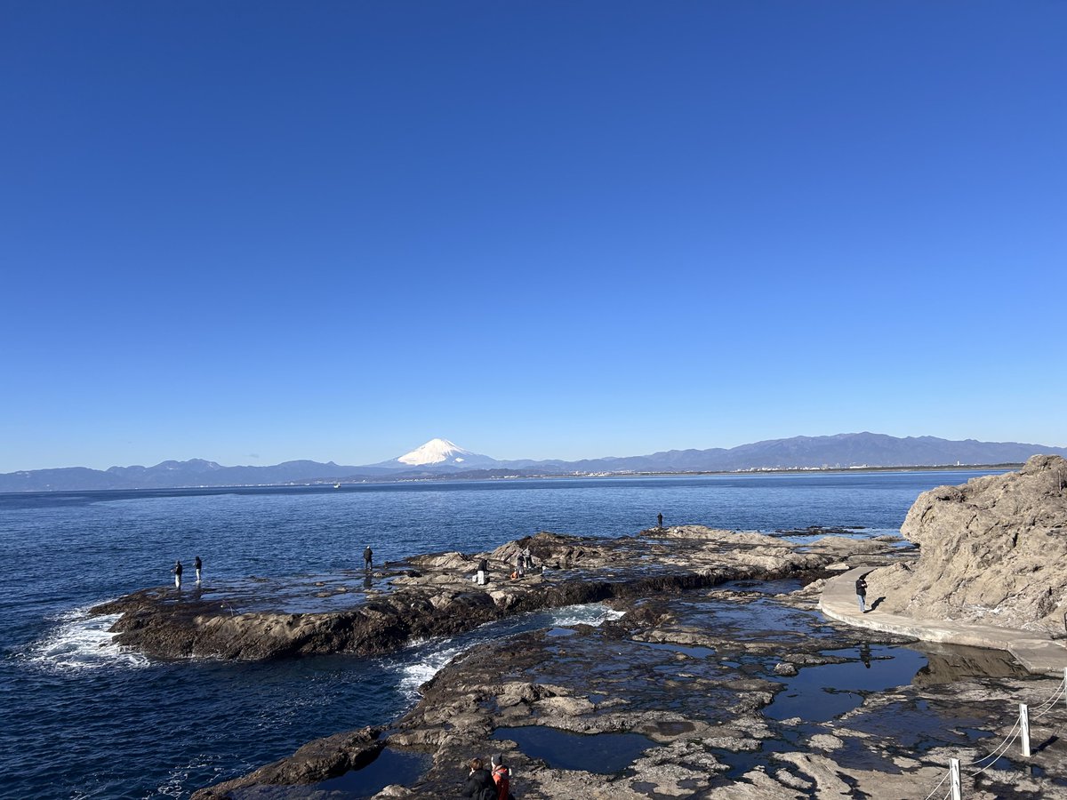 futurefitting's tweet image. 潮だまりの中を見に行きたかったですが
服装が良くなかったから断念