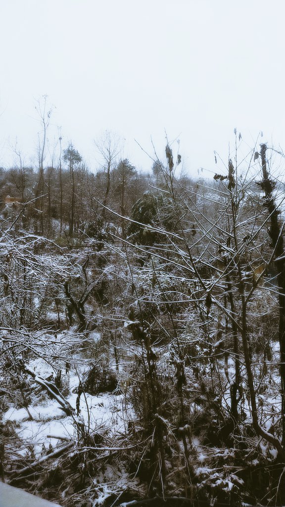 Snow dump ⛄ 
8:46 am 
-6 degree calculus