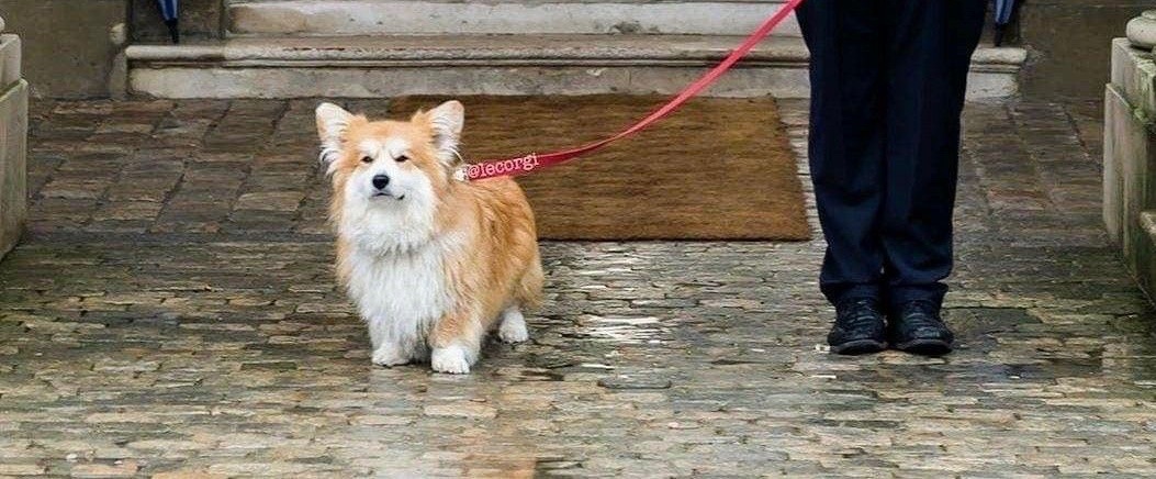 dailypxst's tweet photo. open for a surprise