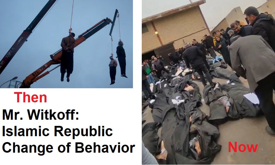 marjan khodavandi (@marjankhoda) on Twitter photo 