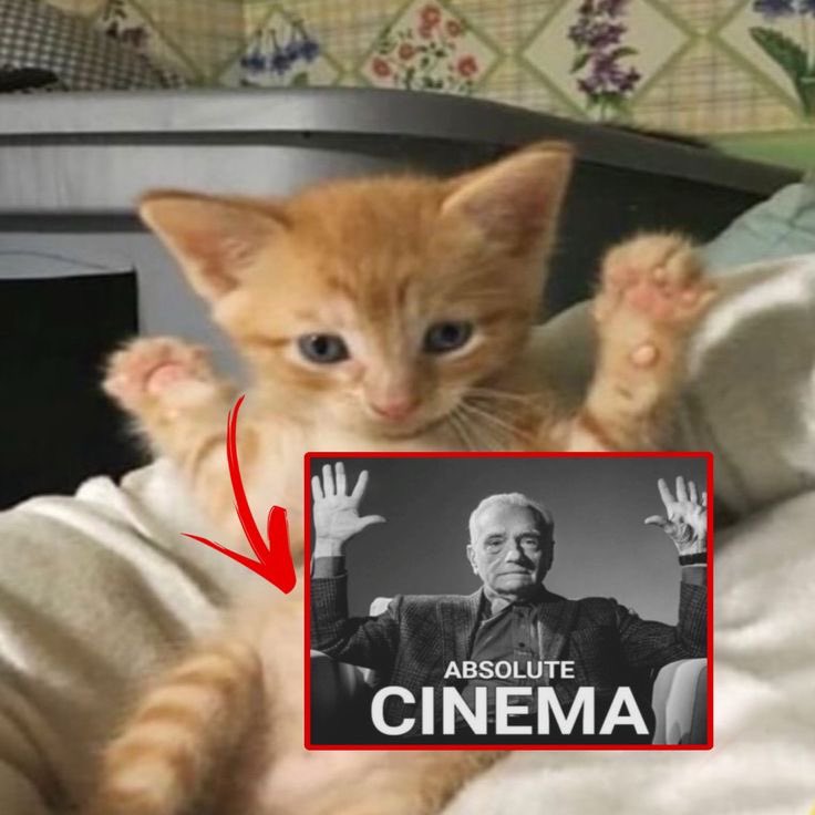 yir ꩜ (@belforu) on Twitter photo 