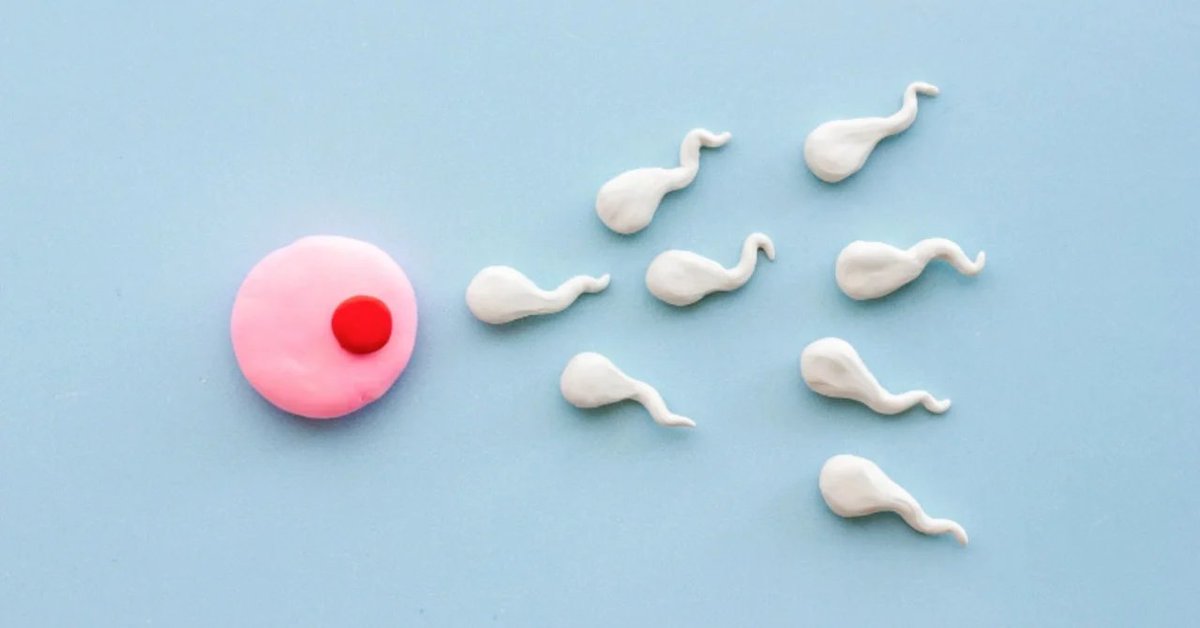 男性は「彼女が浮気してる」と疑うほど、精子が濃くなる！
nazology.kusuguru.co.jp/archives/171034

米OUの調査によると「交際中の彼女が浮気している」と疑う男性ほど、精子濃度が高くなる傾向が見つかったという。逆に彼女は浮気をしないと信じている男性では精子の質が上がっていたという。