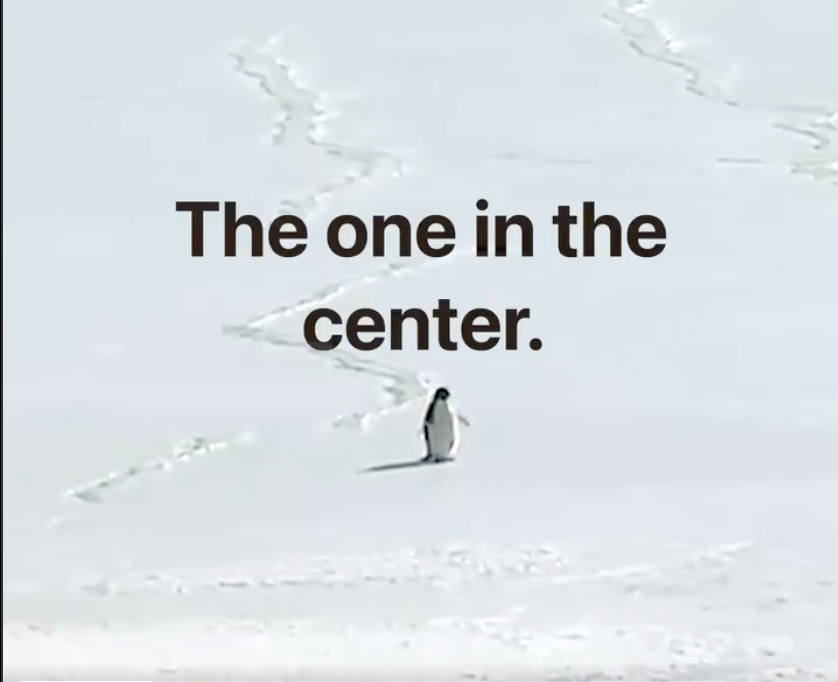 HiddenMinner tweet media