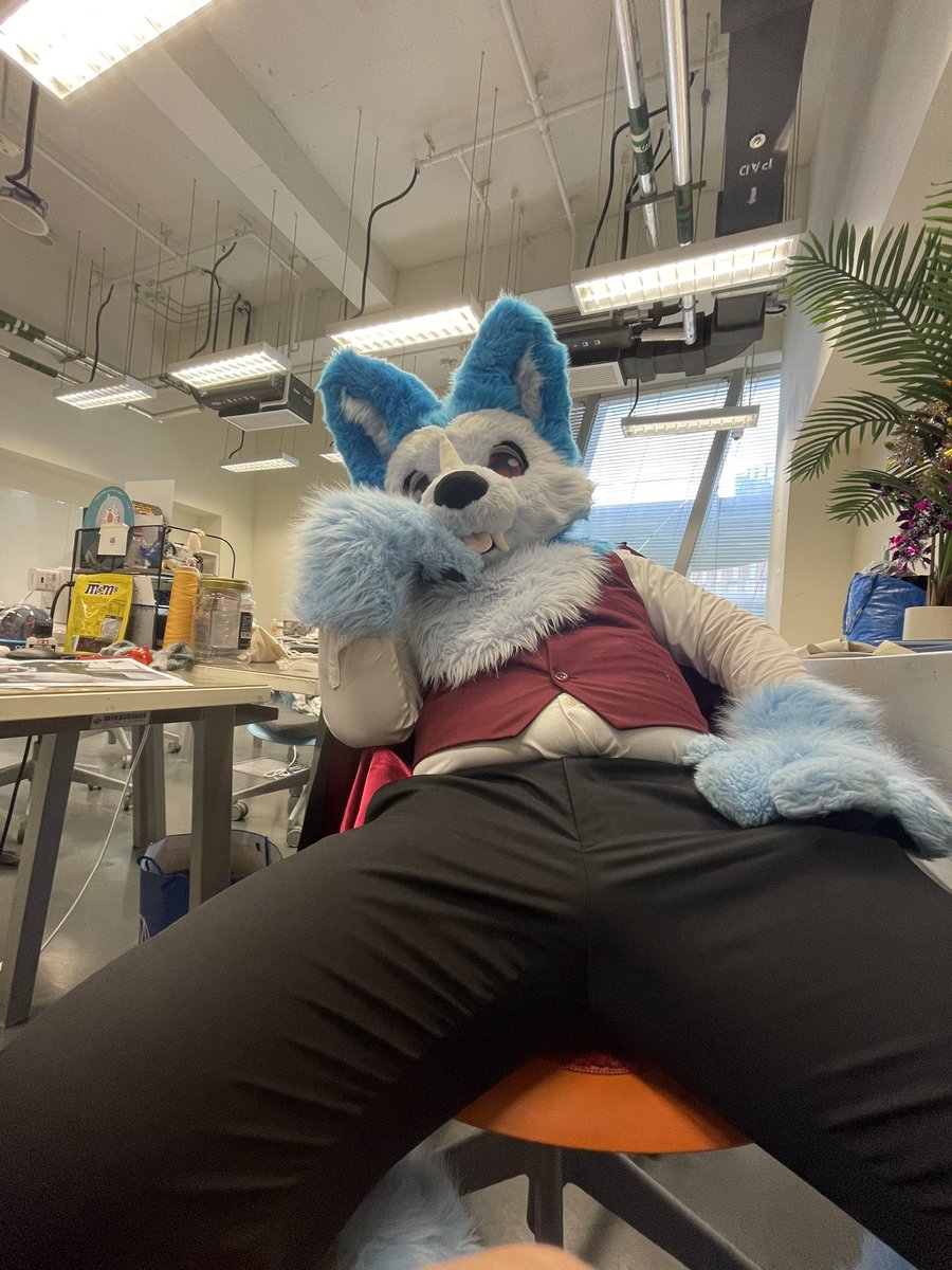 Oh what are you doing down there😈

#FursuitFriday
📸：<a href="/bonar620/">小金</a>