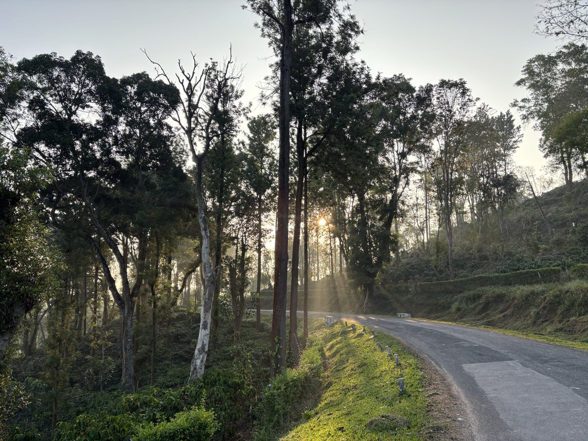 droxcodes's tweet image. GM