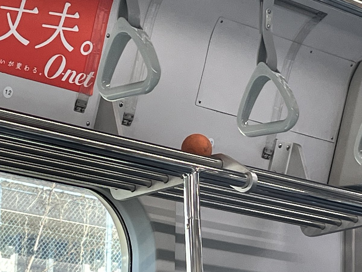 電車の網棚にみかんが置かれてて加速減速に合わせて2mくらいの距離を行ったり来たりゴロゴロ転がっててすごく気になる