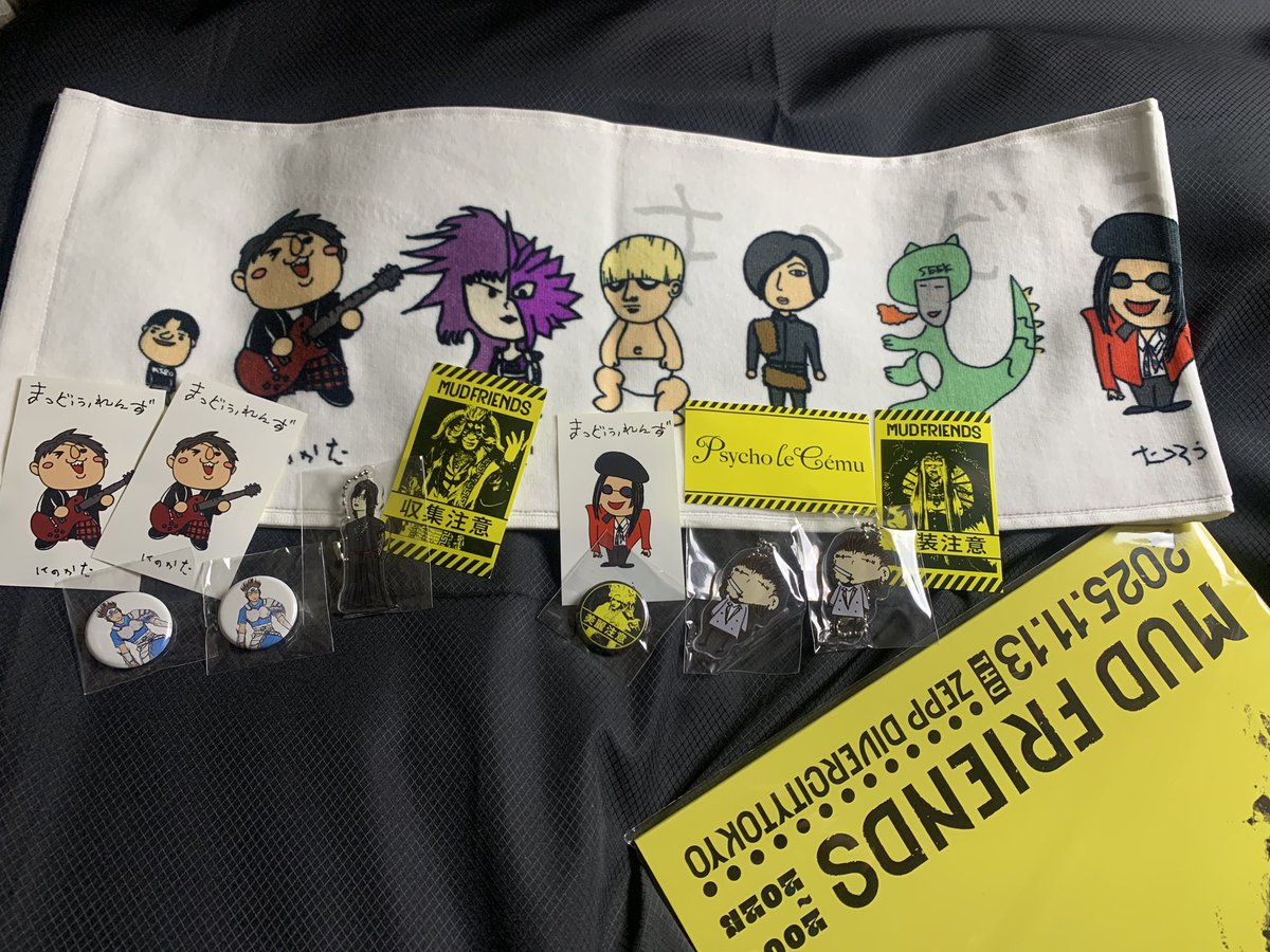 泥友もWaive武道館もお留守番組で通販だったのでやっとグッズを手に