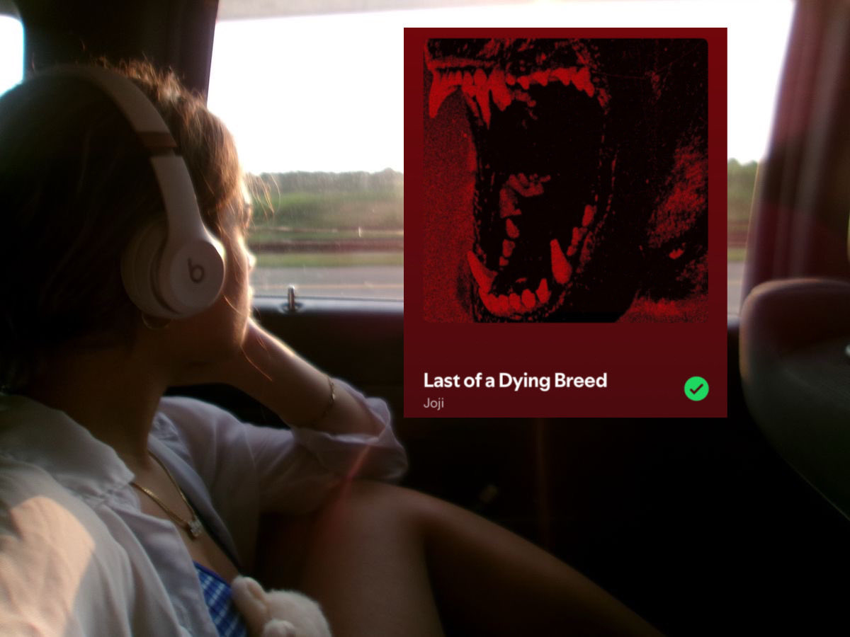 joji cooked with the instrumentals again