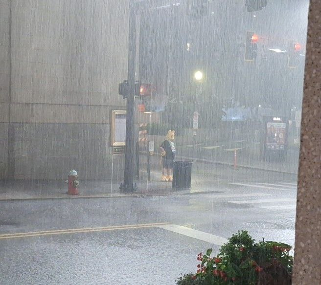 Malrune🔜FWA tweet media