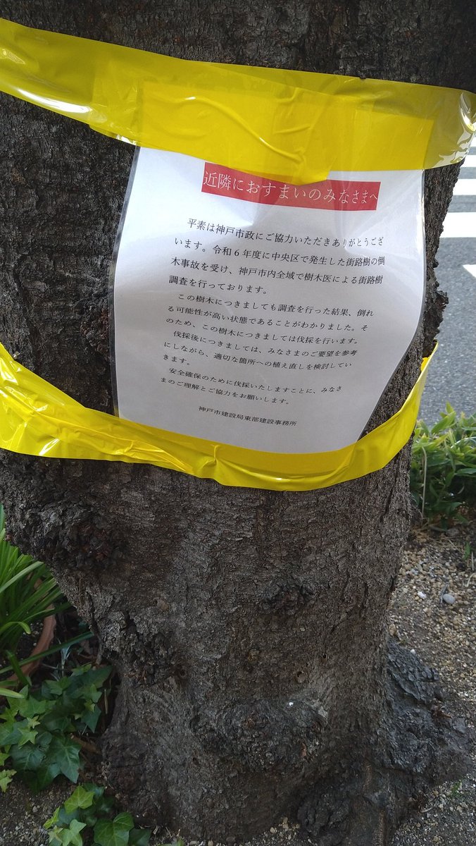 昨日の神戸新聞夕刊の本屋の日記は私が担当いたしました。相変わらず情報はゼロですがご笑覧下さいませ。