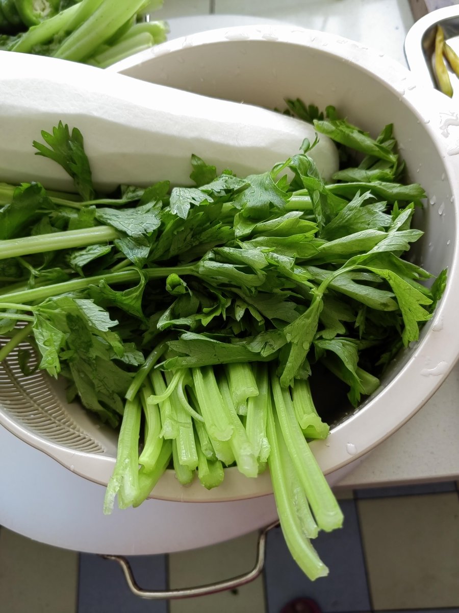 dfdfedfa's tweet image. 暮らしが、静かに満たされる。