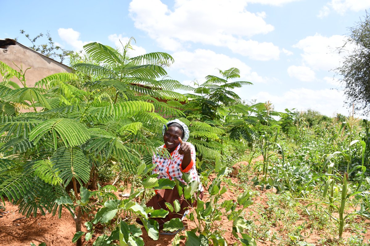 Africa Sand Dam Foundation (ASDF) tweet media