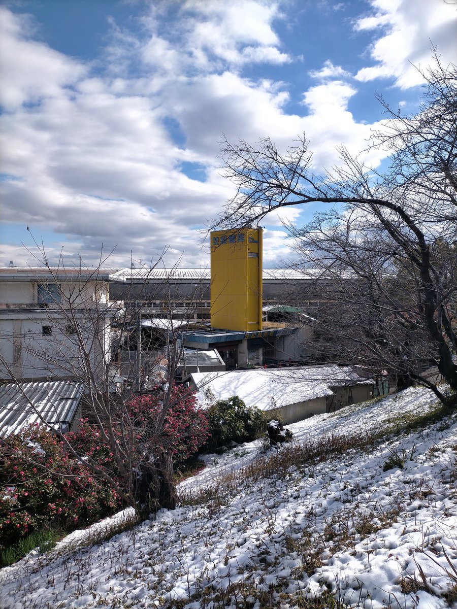 rascal160's tweet image. ちょっと行ってきます。