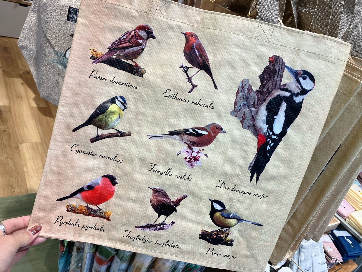 油絵　専用　バッグをたくさん持つ鳥 油絵 専用 バッグをたくさん持つ鳥