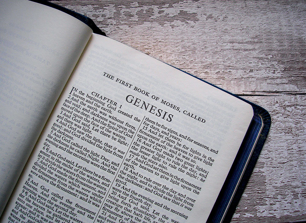 I have some good news! In my Yearly Bible reading, I’ve now finished the First Book of Moses called Genesis.

Genesis is packed with so many iconic stories: the creation of the world, the fall of man, Cain and Abel, Noah’s ark and the flood, the Tower of Babel, God’s covenant