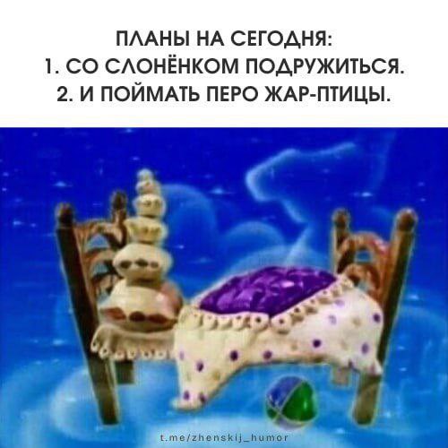 SUPPORT_C_MAPCA's tweet image. 