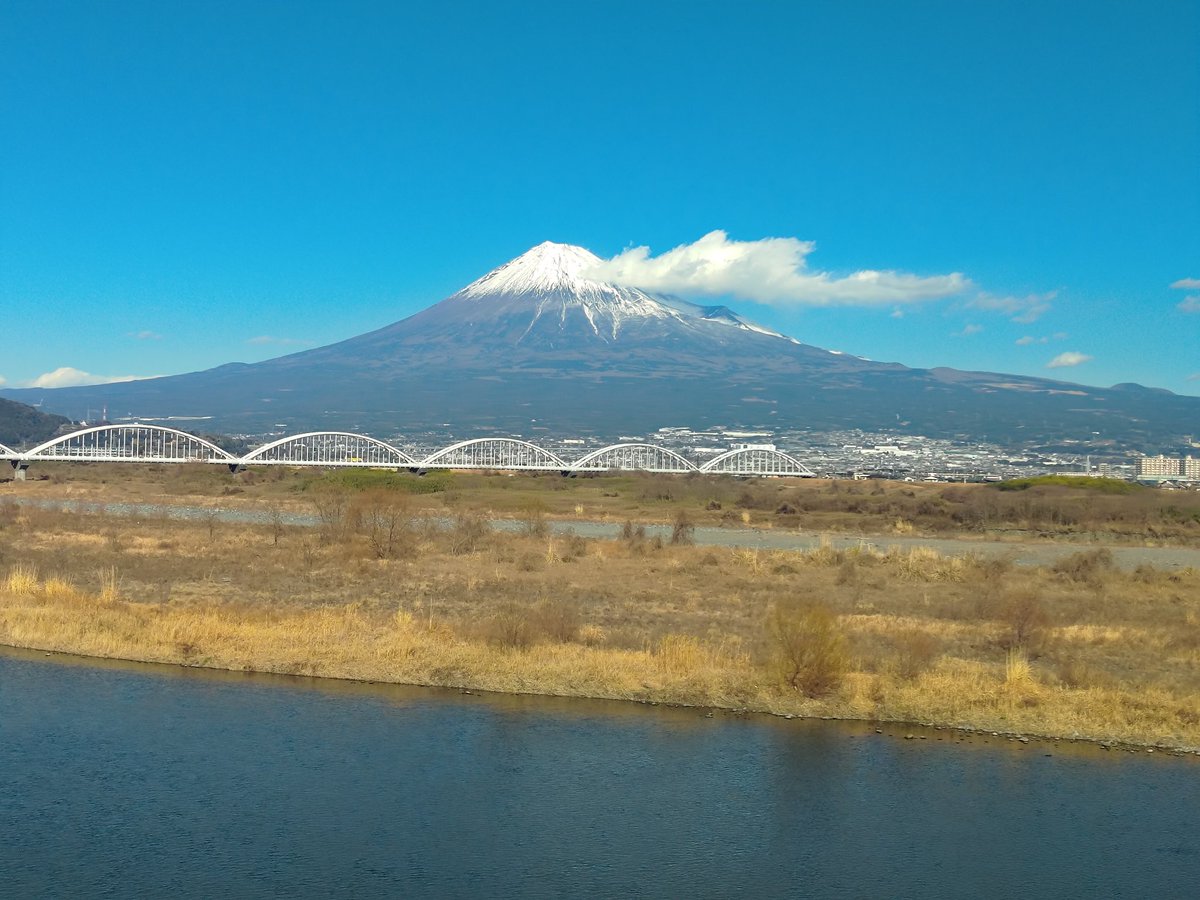 くめしん.LSA tweet media